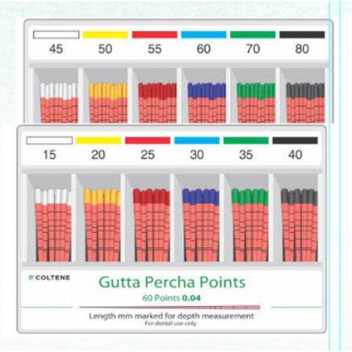Coltene Gutta Percha Points 4% 6%